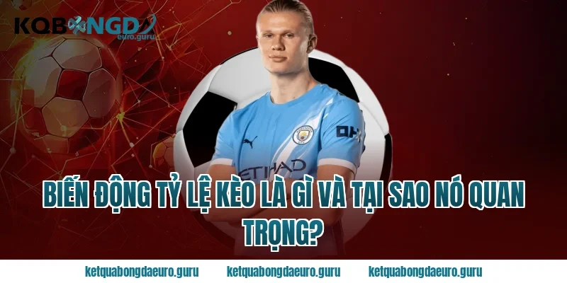 Biến Động Tỷ Lệ Kèo Là Gì Và Tại Sao Nó Quan Trọng?