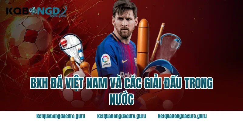 BXH Đá Việt Nam Và Các Giải Đấu Trong Nước