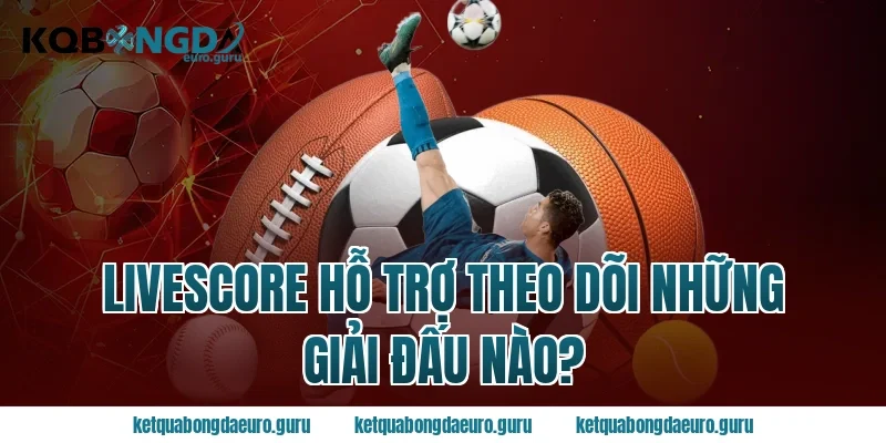 Livescore Hỗ Trợ Theo Dõi Những Giải Đấu Nào?