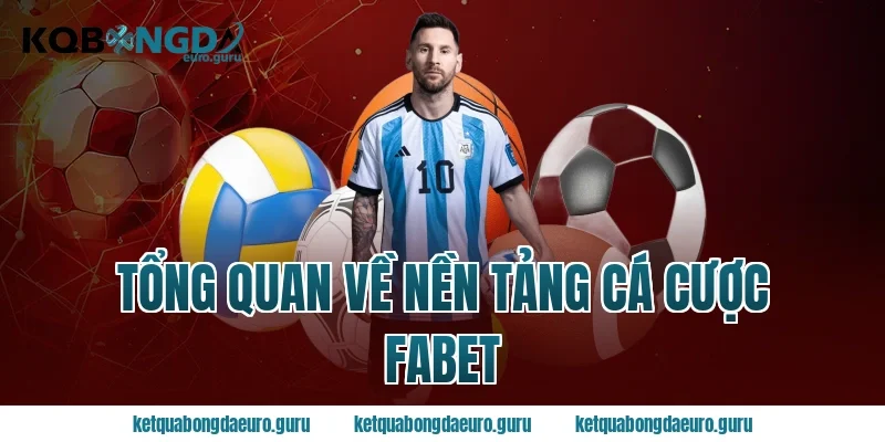 Tổng quan về nền tảng cá cược Fabet