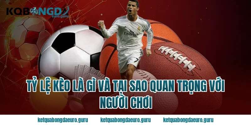Tỷ Lệ Kèo Là Gì Và Tại Sao Quan Trọng Với Người Chơi